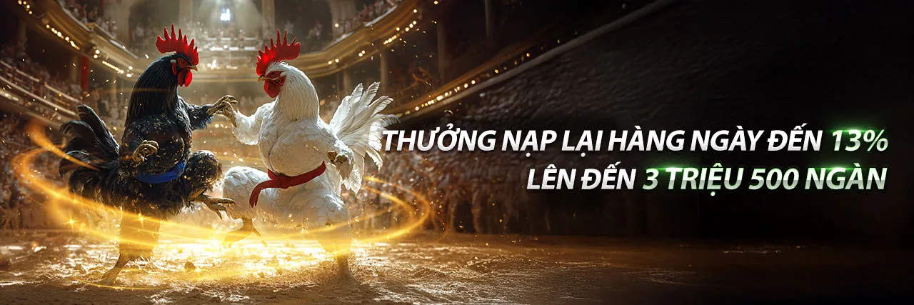 Chương trình khuyến mãi mới nhất mg188 khuyến mãi